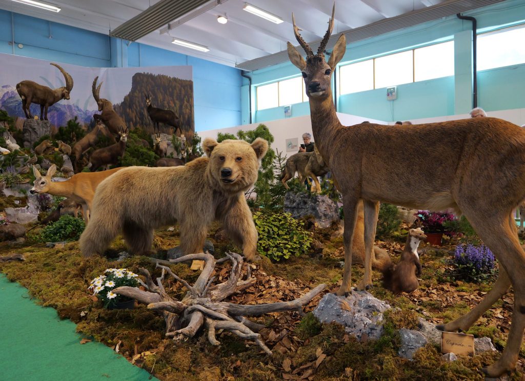 Caccia Pesca e Natura 2025 – Longarone Fiere&nbsp;Dolomiti