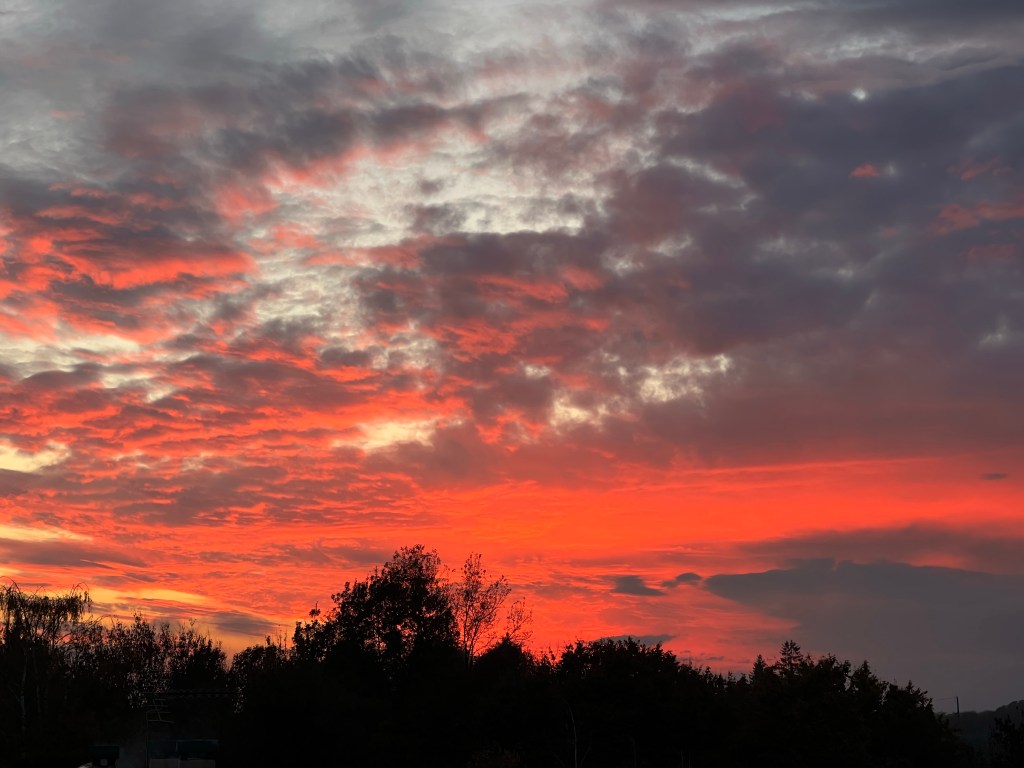 Rassegna Stampa dal 29 dicembre 2025 al 4 gennaio 2026