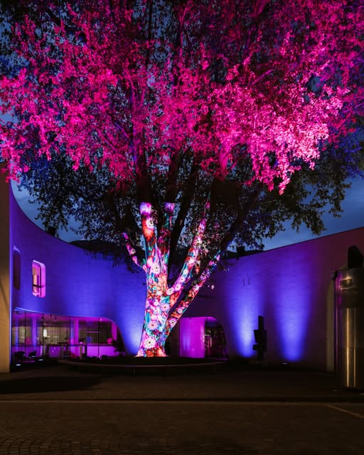 Bressanone si prepara a brillare: il Water Light Festival 2026 è alle porte